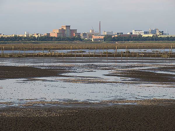 Fubao e2.JPG Fubao e2.JPG