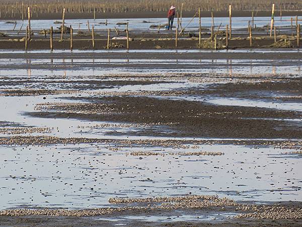 Fubao e6.JPG Fubao e6.JPG