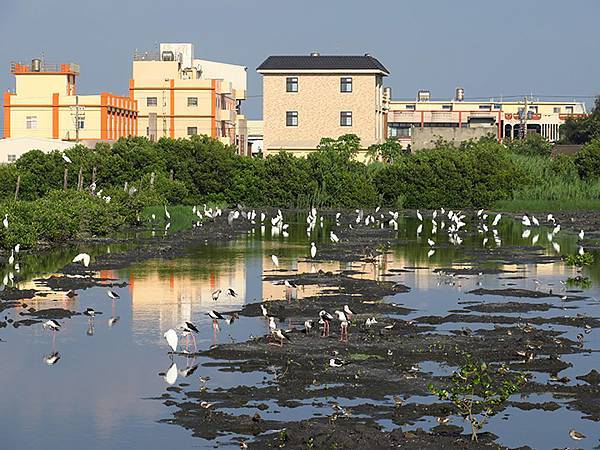 Fubao f1.JPG Fubao f1.JPG