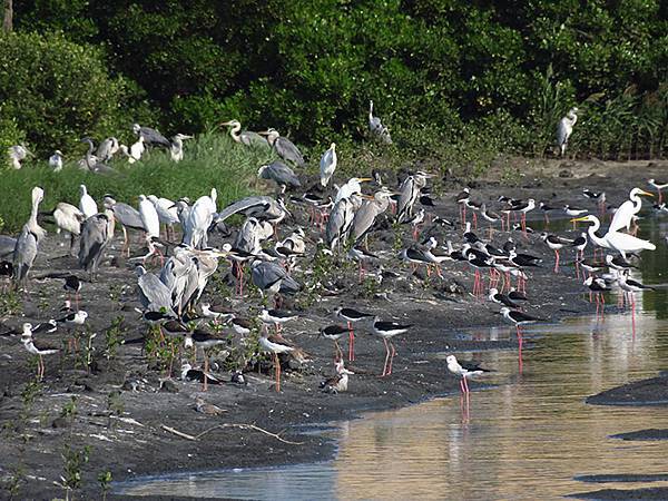 Fubao f3.JPG Fubao f3.JPG