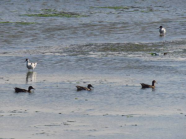 Fubao i3.JPG Fubao i3.JPG