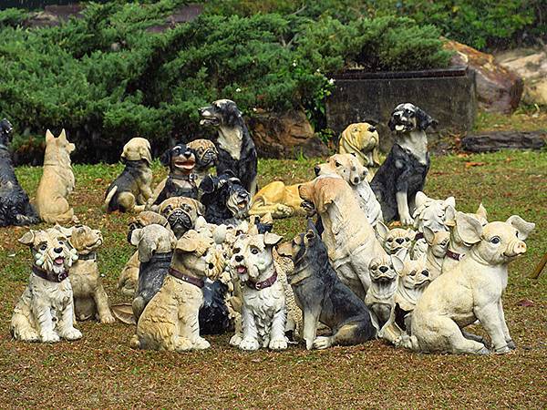 Yuanlin c2.JPG Yuanlin c2.JPG