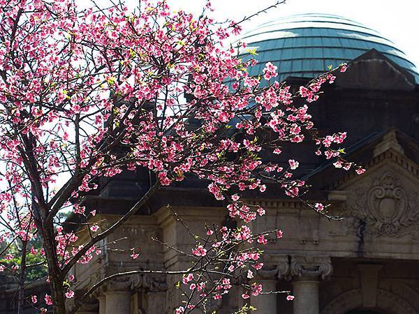 Taipei cb a5.JPG Taipei cb a5.JPG