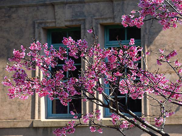 Taipei cb a1.JPG Taipei cb a1.JPG