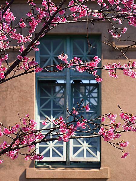 Taipei cb a8.JPG Taipei cb a8.JPG