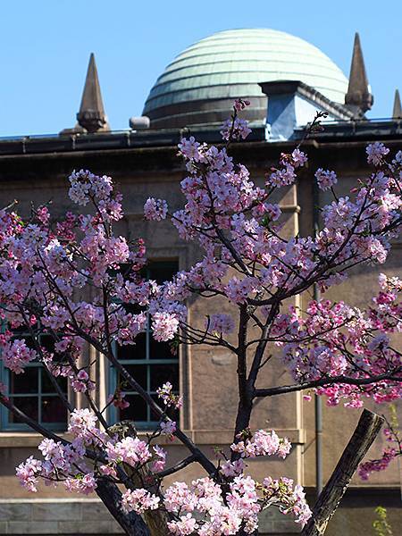 Taipei cb a7.JPG Taipei cb a7.JPG