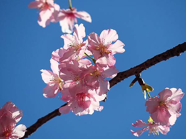 Taipei cb b2.JPG Taipei cb b2.JPG