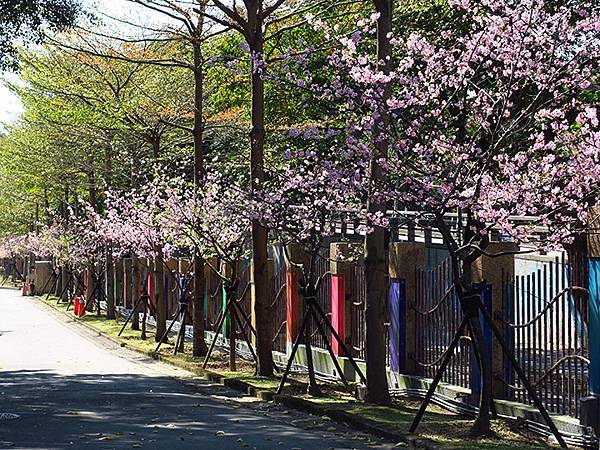 Taipei cb b1.JPG Taipei cb b1.JPG