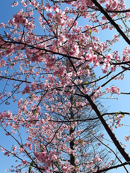 Taipei cb b3.JPG Taipei cb b3.JPG