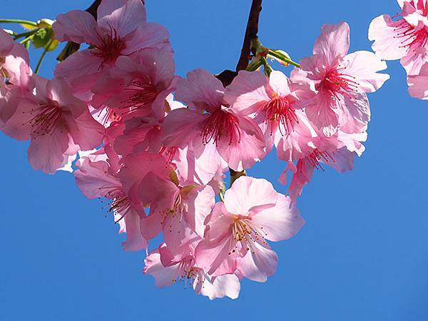 Taipei cb b4.JPG Taipei cb b4.JPG