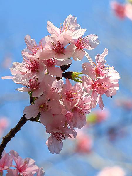 Taipei cb b6.JPG Taipei cb b6.JPG