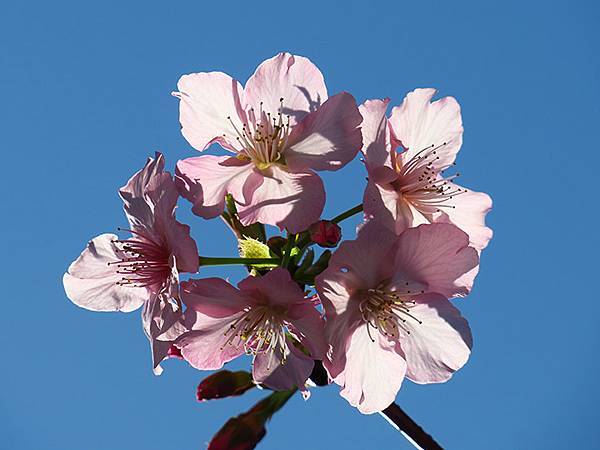 Taipei cb b8.JPG Taipei cb b8.JPG