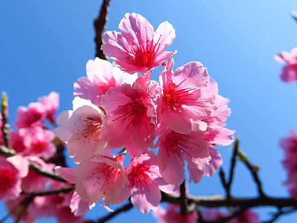 Taipei cb c2.JPG Taipei cb c2.JPG