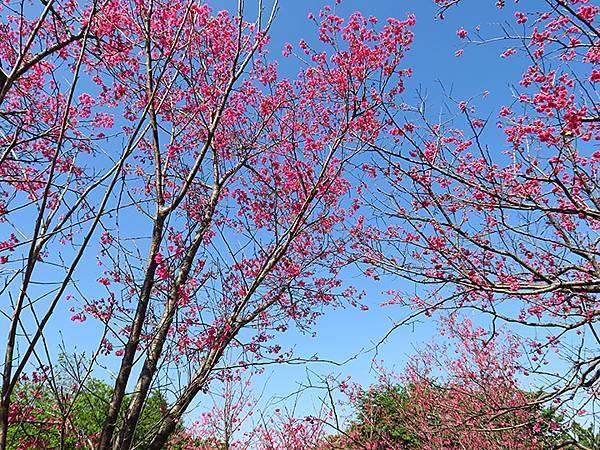 Taipei cb d2.JPG Taipei cb d2.JPG