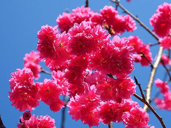 Taipei cb d3.JPG Taipei cb d3.JPG