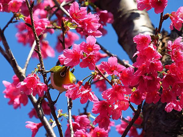 Taipei cb e2.JPG Taipei cb e2.JPG