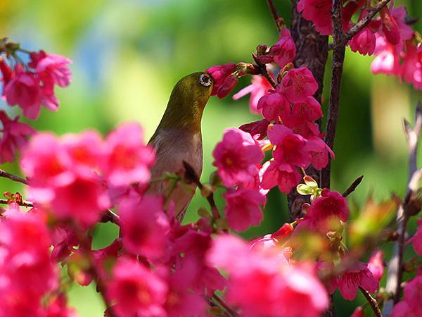 Taipei cb e1.JPG Taipei cb e1.JPG