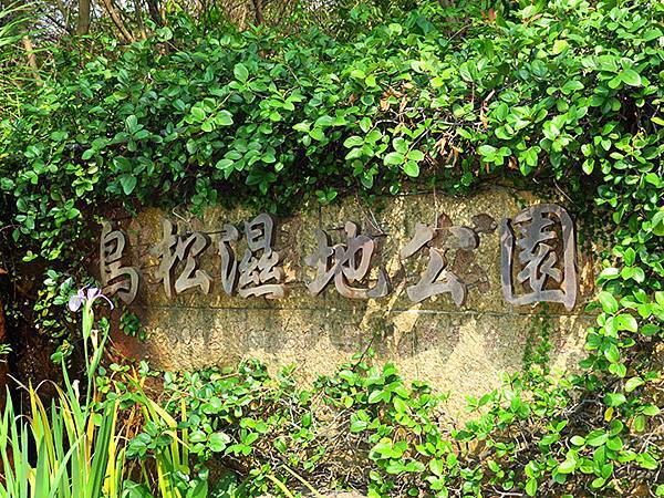 Niaosong a2.JPG Niaosong a2.JPG