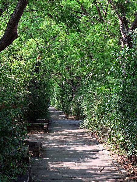 Niaosong c4.JPG Niaosong c4.JPG