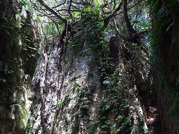 Liuqiu g2.JPG Liuqiu g2.JPG