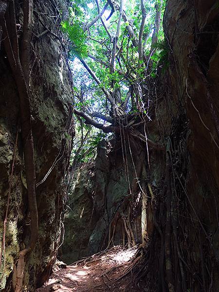 Liuqiu g3.JPG Liuqiu g3.JPG