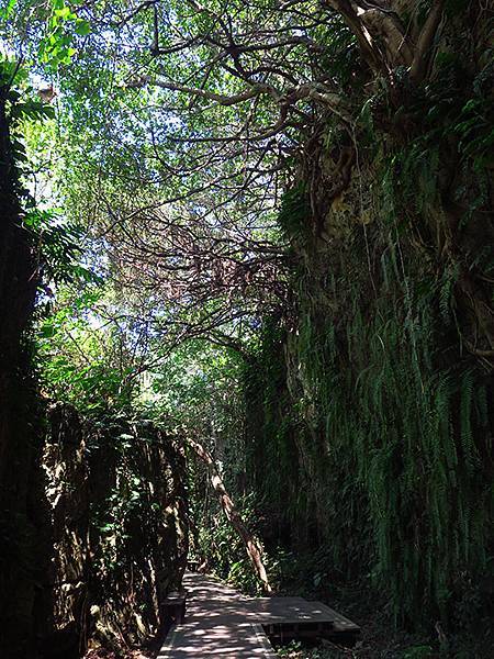 Liuqiu g5.JPG Liuqiu g5.JPG