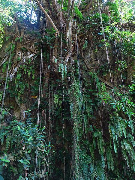 Liuqiu g6.JPG Liuqiu g6.JPG