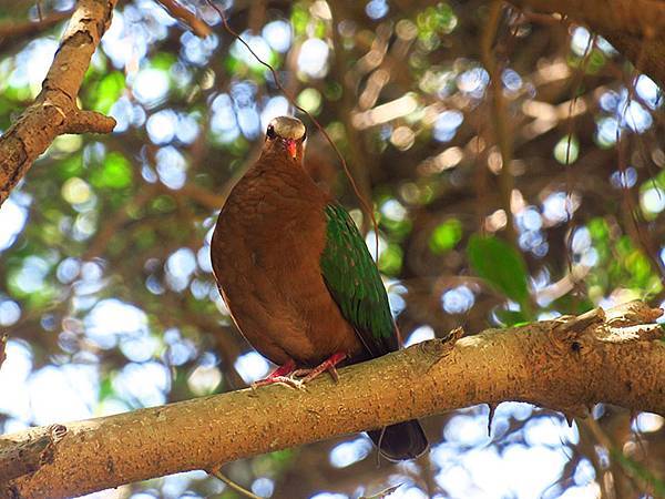 Liuqiu h8.JPG Liuqiu h8.JPG