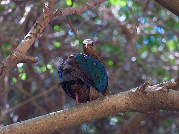 Liuqiu h7.JPG Liuqiu h7.JPG