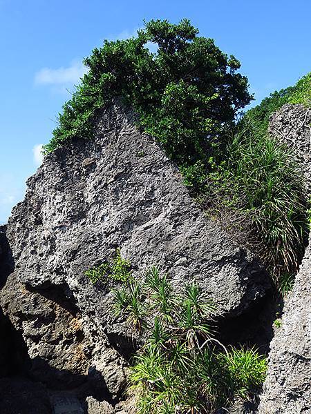 Liuqiu h6.JPG Liuqiu h6.JPG