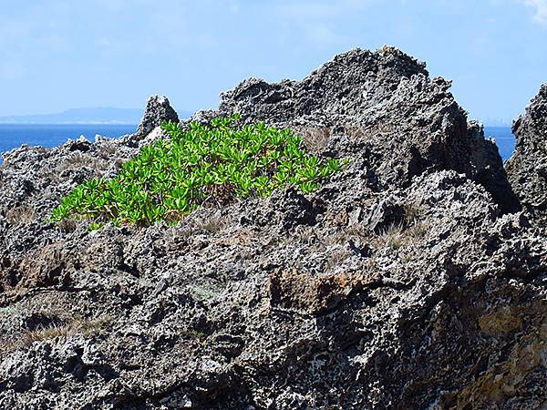 Liuqiu i5.JPG Liuqiu i5.JPG