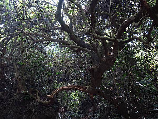 Shoushan b10.JPG Shoushan b10.JPG