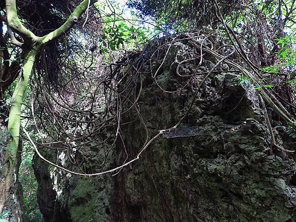 Shoushan b4.JPG Shoushan b4.JPG