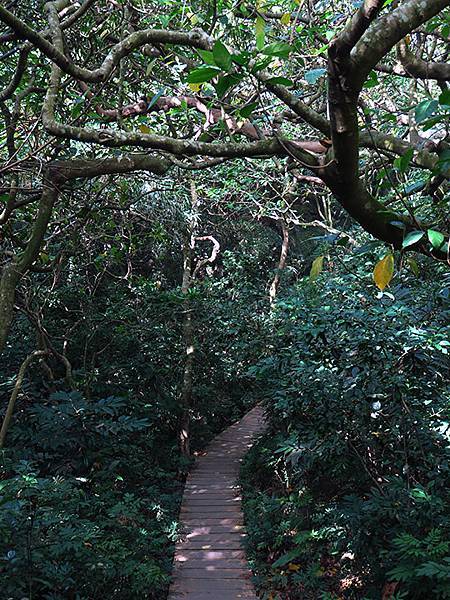 Shoushan b8.JPG Shoushan b8.JPG