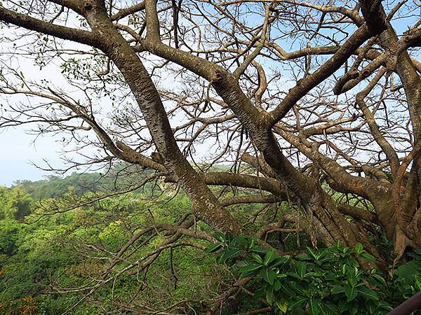 Shoushan c3.JPG Shoushan c3.JPG