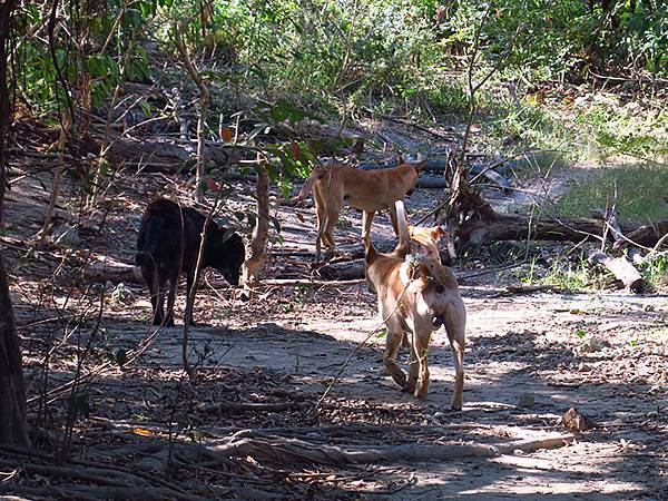 Shoushan d1.JPG Shoushan d1.JPG