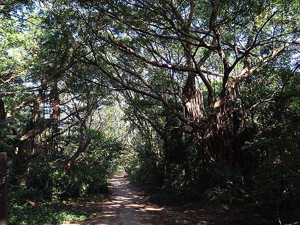 Shoushan e1.JPG Shoushan e1.JPG