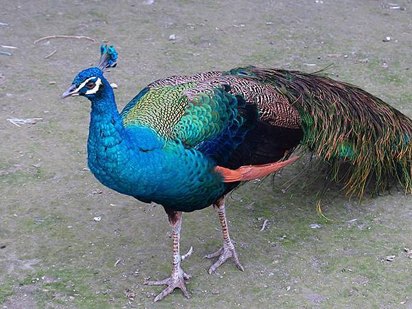 Hualien b7.JPG Hualien b7.JPG