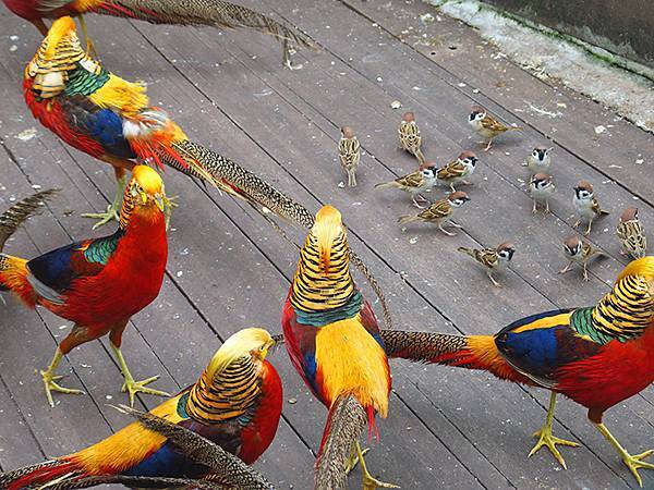 Hualien b10.JPG Hualien b10.JPG