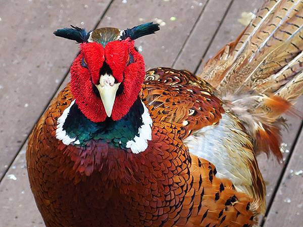 Hualien b9.JPG Hualien b9.JPG