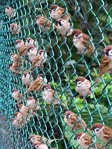 Hualien b11.JPG Hualien b11.JPG