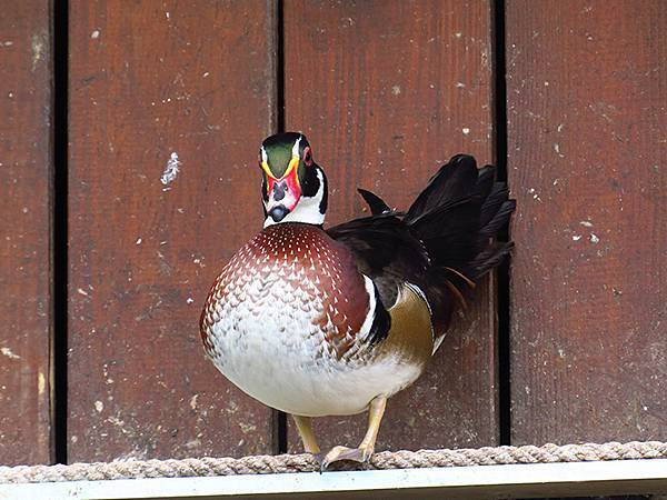 Hualien b8.JPG Hualien b8.JPG