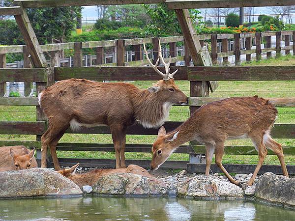 Hualien b5.JPG Hualien b5.JPG