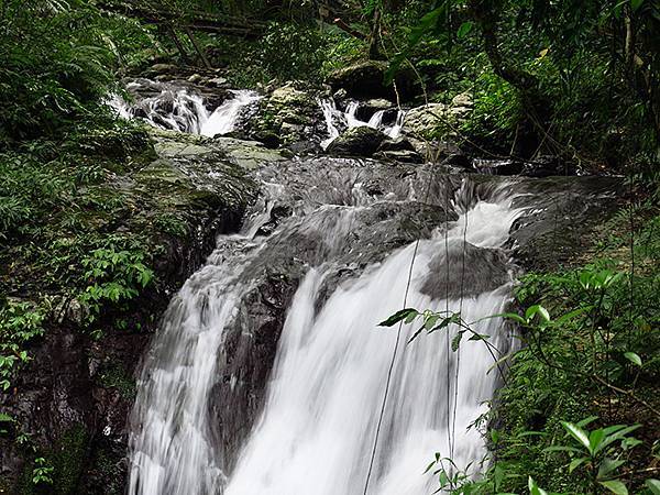 Linmei a1.JPG Linmei a1.JPG