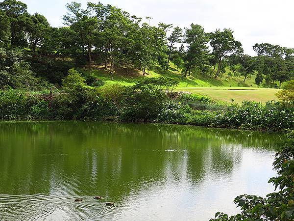 Linmei a6.JPG Linmei a6.JPG