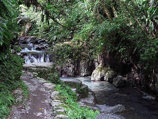 Linmei c4.JPG Linmei c4.JPG