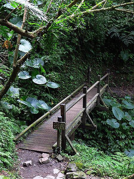 Linmei c3.JPG Linmei c3.JPG