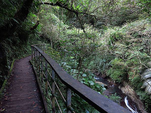 Linmei c1.JPG Linmei c1.JPG