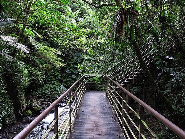 Linmei c7.JPG Linmei c7.JPG