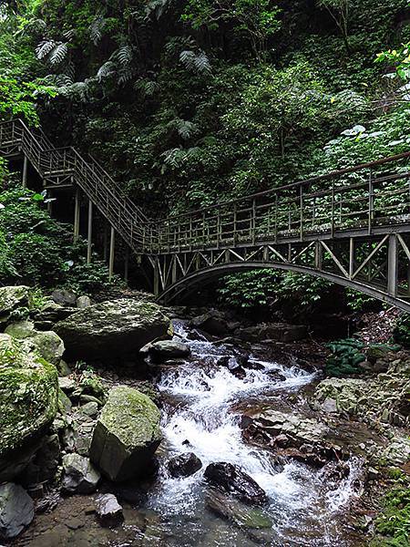 Linmei c6.JPG Linmei c6.JPG